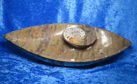 Fossiiliastia iso goniatiittimalja veneen mallinen