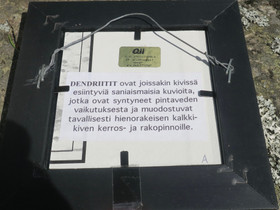 Taulu Dendriitti, kehys  153x153mm kivi 57x45mm A