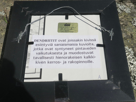 Taulu Dendriitti, kehys  153x153mm kivi 57x45mm A