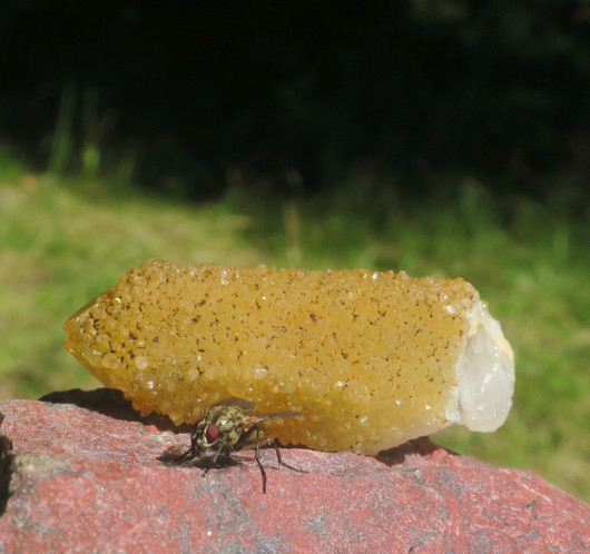  Sitriini kaktuskvartsi 17g, 47x20mm Spirit Quartz