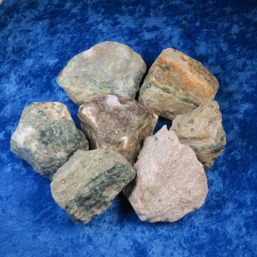 Valtamerijaspis raaka keskim 80g