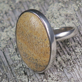 Hopeasormus maisemajaspis 18.7mm 