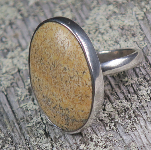 Hopeasormus maisemajaspis 18.7mm 