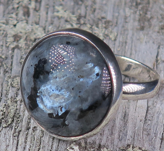 Hopeasormus larvikiitti 17.5mm 