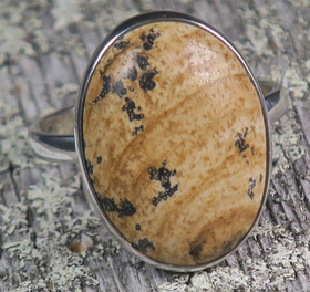 Hopeasormus maisemajaspis 21mm 