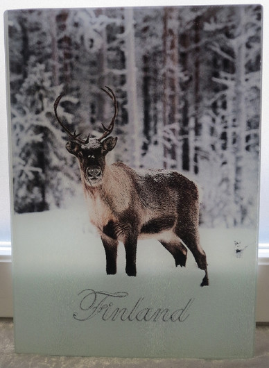 Leikkuulauta tarjoilualusta Poro, Finland, koko 20x28cm, lasia