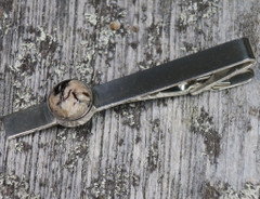 Solmioneula astrofylliitti pyöreä A