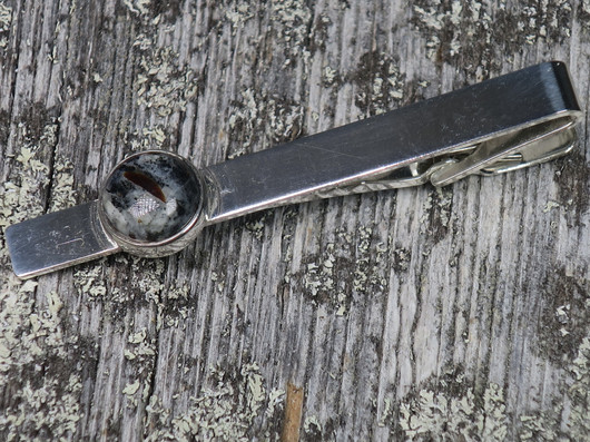 Solmioneula astrofylliitti D