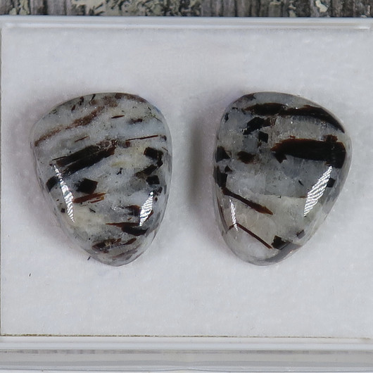 Nappikorvakorut astrofylliitti KIILA K