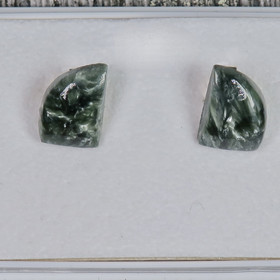 Klipsikorvakorut klinokloori purje 