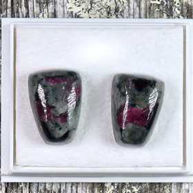 Nappikorvakorut eudialyytti  trapetsi B