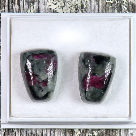 Nappikorvakorut eudialyytti  trapetsi B