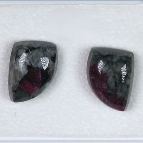 Nappikorvakorut  eudialyytti purje F