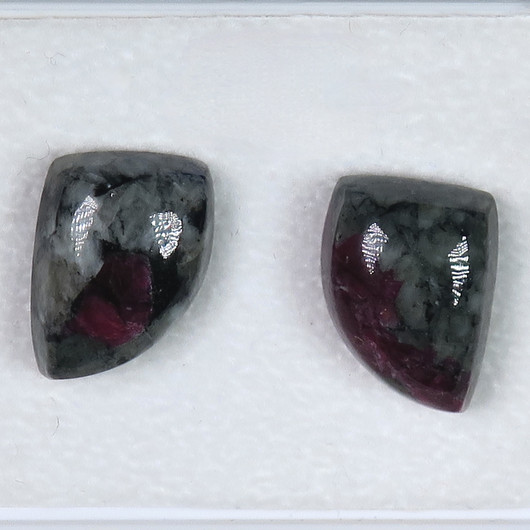 Nappikorvakorut  eudialyytti purje F