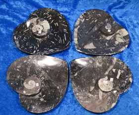 Fossiililautanen sydämen muotoinen 16x16cm. Valitse