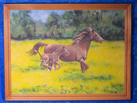 Kivimurskataulu varsa ja hevonen juoksemassa rypsipellossa