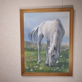 Taulu valkoinen hevonen niityllä. Kivimurskataulu