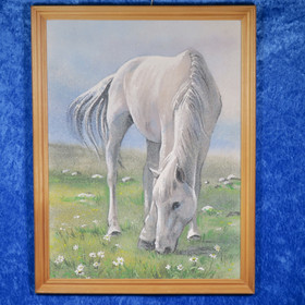Taulu valkoinen hevonen niityllä. Kivimurskataulu