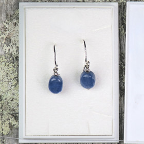 Korvakorut sininen kyaniitti, siro