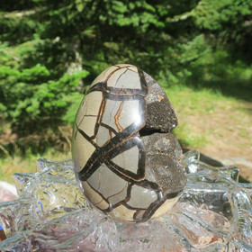 Septaria suuri kivimuna Dragon egg  1750g, 14cm kiehtova kideonkalo