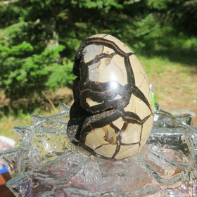 Septaria suuri kivimuna Dragon egg  1750g, 14cm kiehtova kideonkalo