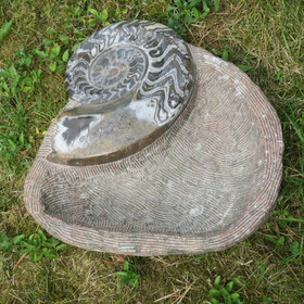 Fossiilimalja 15,2kg 40x45cm iso ammoniitti reunalla