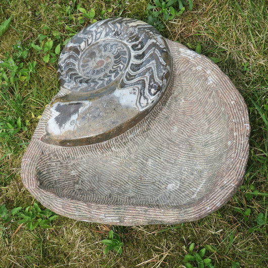 Fossiilimalja 15,2kg 40x45cm iso ammoniitti reunalla