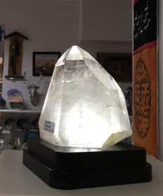 Vuorikide kidekärki jättikoko 6,4kg Brasilia