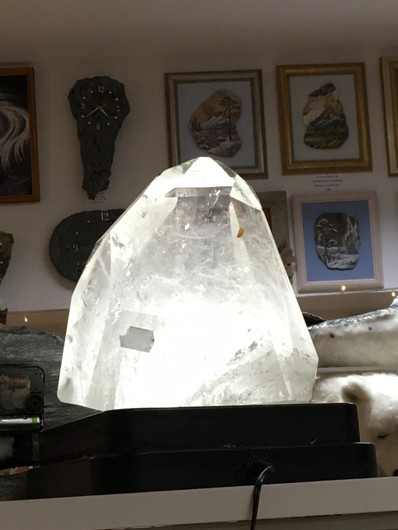 Vuorikide kidekärki jättikoko 6,4kg Brasilia