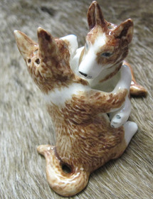 Suolasirotinpari koirat halaavat