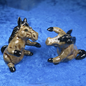 Suolasirotinpari hevoset halaavat