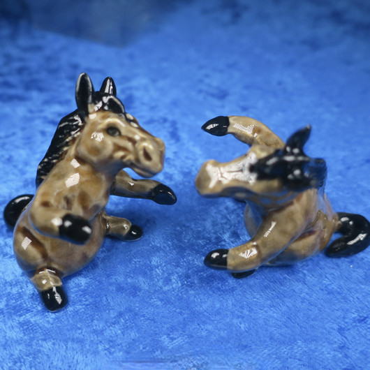 Suolasirotinpari hevoset halaavat