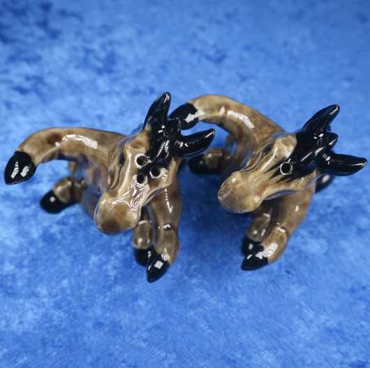 Suolasirotinpari hevoset halaavat