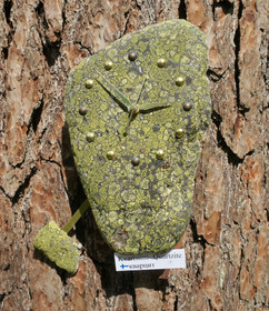 Heilurikello kvartsiitti sammalkivi seinäkello 25cmx19cm 310-B