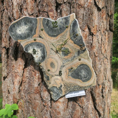 Seinäkello pallokivikello iso 33x25cm Kuru Suomi