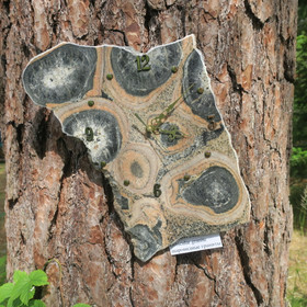 Seinäkello pallokivikello iso 33x25cm Kuru Suomi