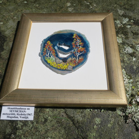 Kivimurskataulu 2 Seymchan meteoriittia ja spektroliitti akaatilla