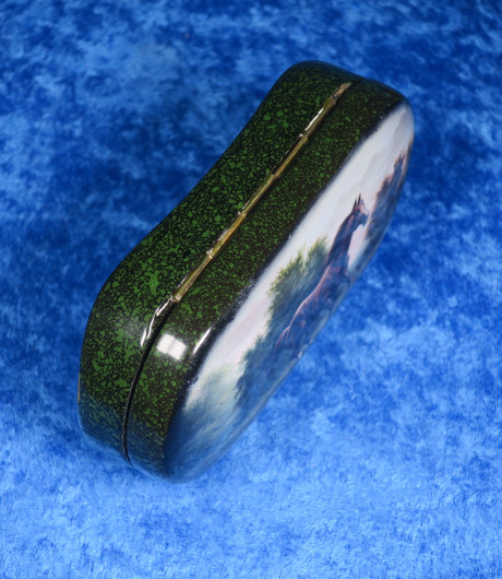 Puurasia hevonen juoksee niityllä