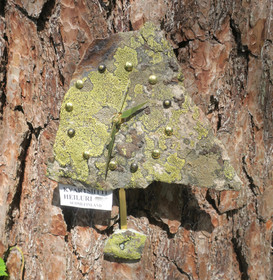 Heilurikello  kvartsiitti sammalkivi seinäkello 19x22cm 310-3h