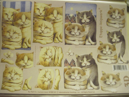 3D-korttikuva: A4 arkki kissat