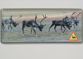 Magneetti porot ja porovaroitusmerkki 