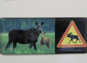 Magneetti hirvet ja hirvivaroitusmerkki