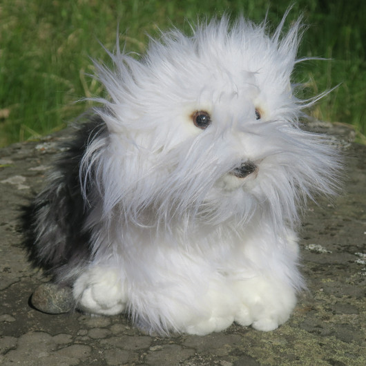 Pehmolelu lammaskoira