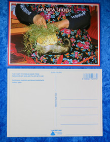 Postikortti My new shoes, kenkäheinät, nutukkaat poronkarvakengät 