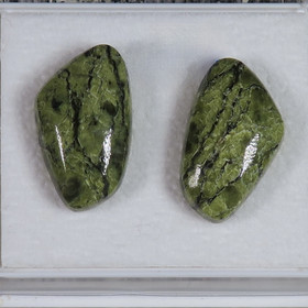 Nappikorvakorut serpentiini