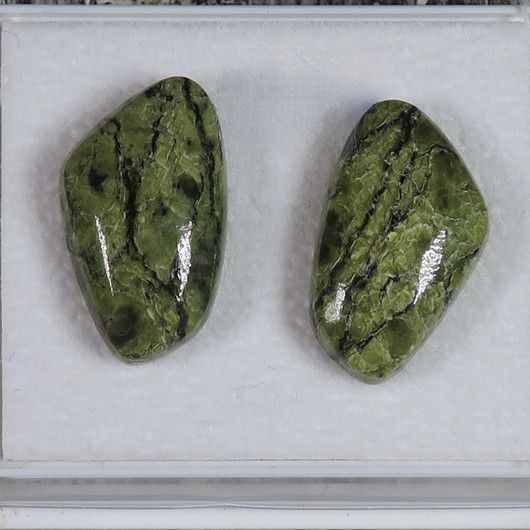 Nappikorvakorut serpentiini