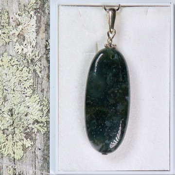 Riipus sammalakaatti, pitkäkäinen 