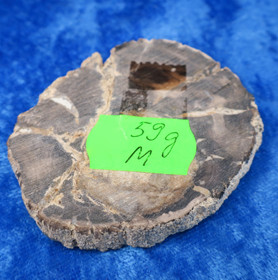 Kivettynyt puu 59g toiselta puolelta hiottu siivu. 23M Madagaskar