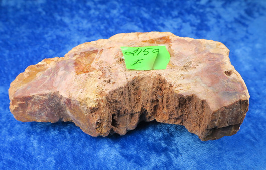 Kivettynyt puu raaka 215g, Madagaskar. 23F