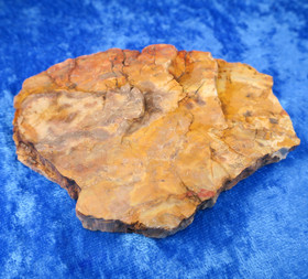 Kivettynyt puu raaka 144g 95x67x15mm 23A Madagaskar